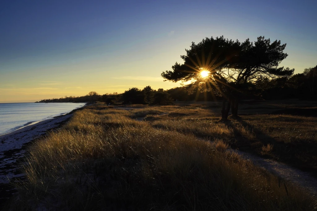Foto från Beddingestrand i solnedgång