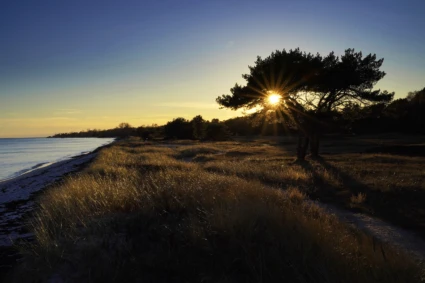 Foto från Beddingestrand i solnedgång