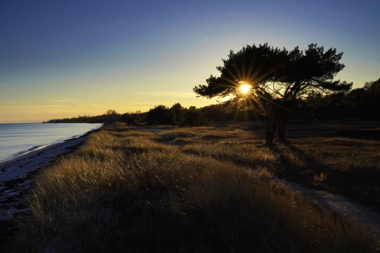 Foto från Beddingestrand i solnedgång
