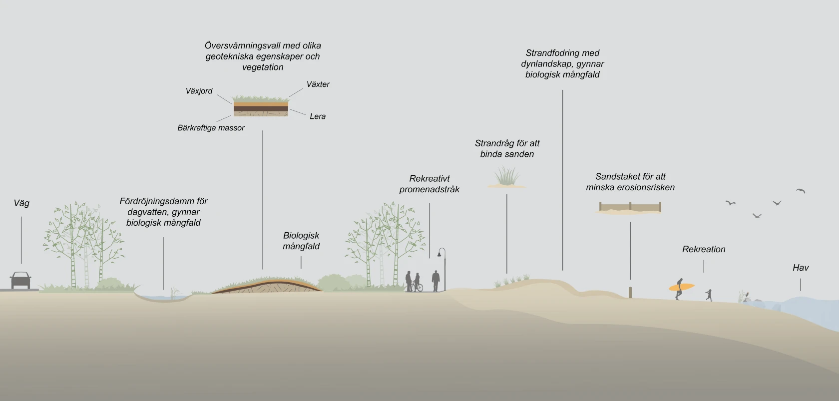 Innovativa lösningar för kustskydd testas. Illustration framtagen av Moa Landén, Trelleborgs kommun.